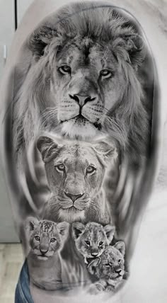 60 lion family tattoo favorite and lion tattoo ideas to save today | lion  family, lion tattoo design, lion head tattoos and more