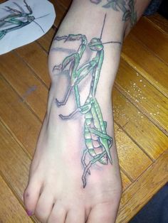 Discover 19 Praying Mantis tattoo designs and mantis tattoo ideas | praying mantis, tattoo designs, insect tattoo and more