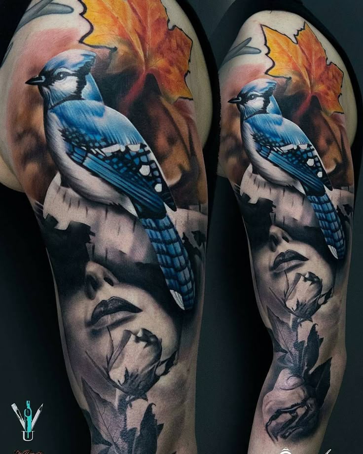 Bluejay tattoo by @gorskytattoos at @ushuaiatattoo.london in London U.K.  #gorskytattoos #damiangorski #ushuaiatattoolondon #london #uk  #unitedkingdom #bluejay #bluejaytattoo #birdtattoo #tattoo #tattoos  #tattoosnob