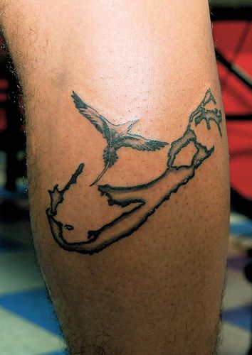 Bermuda Long Tail Tattoo