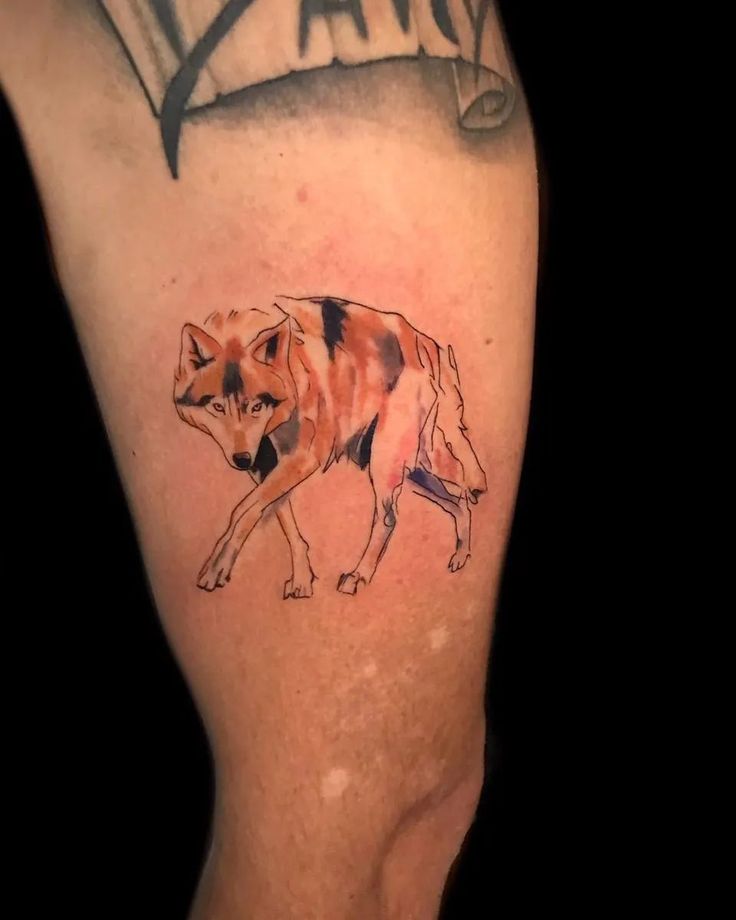 Coyote Tattoo, traditional coyote tattoo, realistic coyote tattoo, simple coyote  tattoo