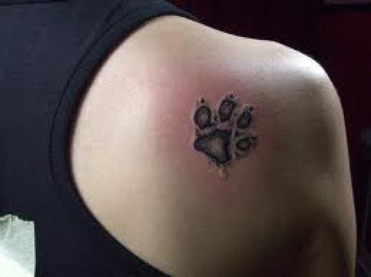 Paw Print Tattoos And Paw Print Tattoo Designs; Paw Print Tattoo Meanings  And Ideas