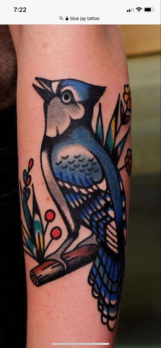 Blue jay tattoo