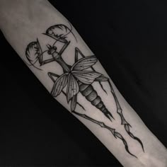 23 Praying mantis tat ideas | mantis tattoo, praying mantis, bug tattoo