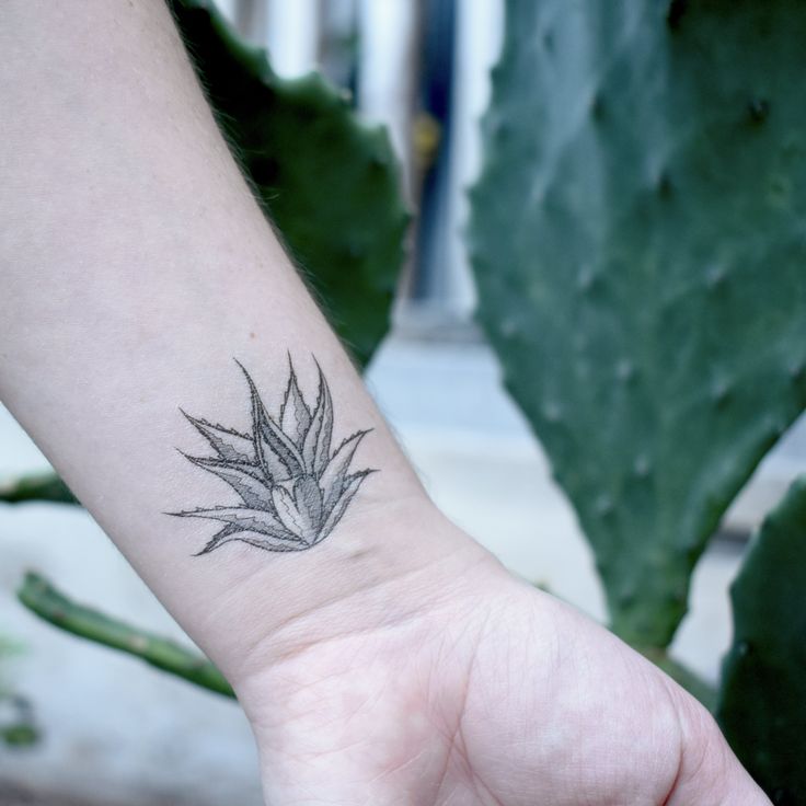 Desert Wild Temporary Tattoos - 1 Pack