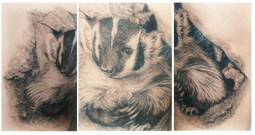 Animal tattoo, badger, totem. Inked July 2013 for my 42nd birthday.  Greyscale, Black and white, Grey and white, Portraiture, Photorealism