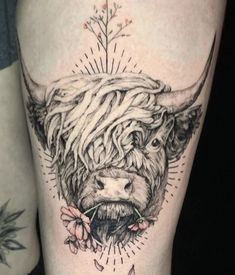 21 Highlander tattoo's ideas | cow tattoo, highland cow tattoo, tattoos