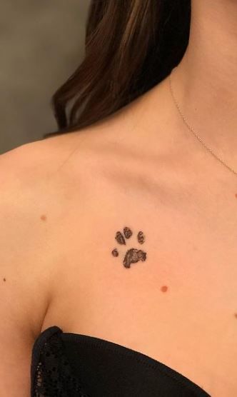 30 Paw Print Tattoos, Ideas & Designs