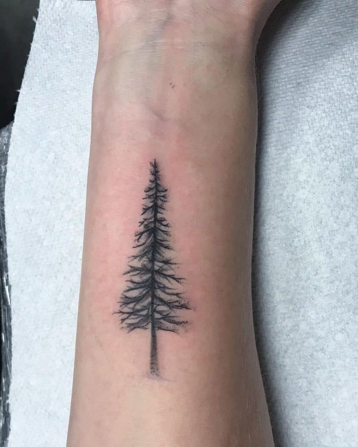 Tree Silhouette Tattoo Ideas: Simple Yet Powerful