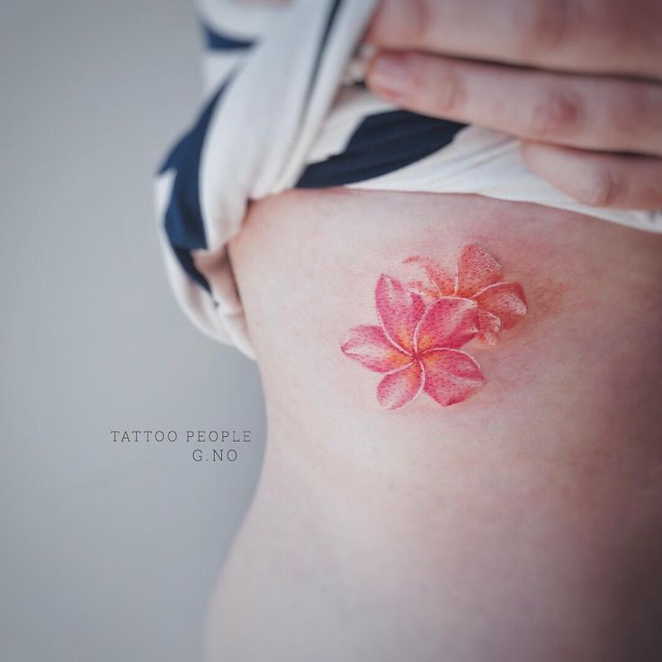 13 Amazing Plumeria Tattoo Design Ideas and Meanings - FMag.com