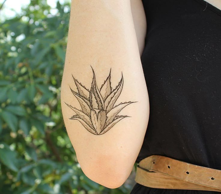 Agave Tattoo Meaning & Cool Designs - TattoosWin