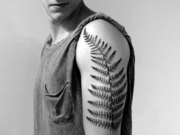 60 Cool Leaf Tattoo Designs for Men