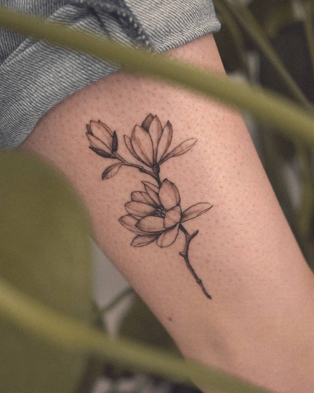 Magnolia Tree Tattoo