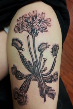 Discover 37 Carnivorous Plant Tattoos and plant tattoo ideas | tattoos,  carnivorous, carnivorous plants and more