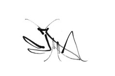 Discover 40 Mantis Tattoo and Praying Mantis Ideas | insect tattoo, praying mantis drawing, bug tattoo and more