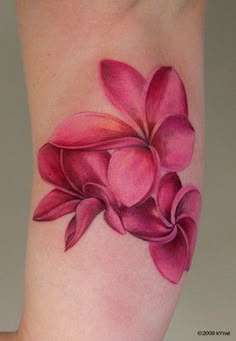 Discover 9 Frangipani and Plumeria Flower Tattoos Ideas | tropical flowers,  colored hawaiian flower tattoo, hawaiian flower with butterfly tattoo and  more