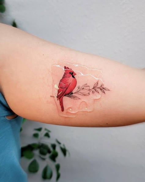 Small Cardinal Tattoo