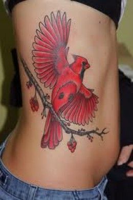 Cardinal Tattoos And Designs-Cardinal Tattoo Ideas And Meanings