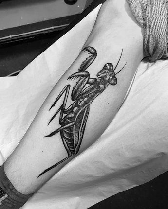 50 Epic Praying Mantis Tattoo Designs For Men
