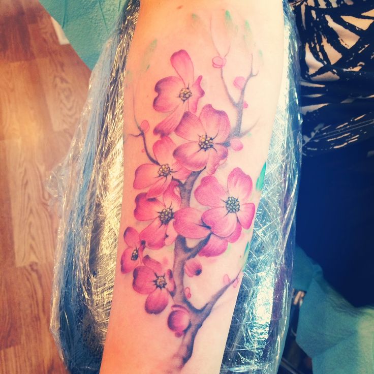 watercolor dogwood | Dogwood tattoo, Dogwood flower tattoos, Flower tattoos