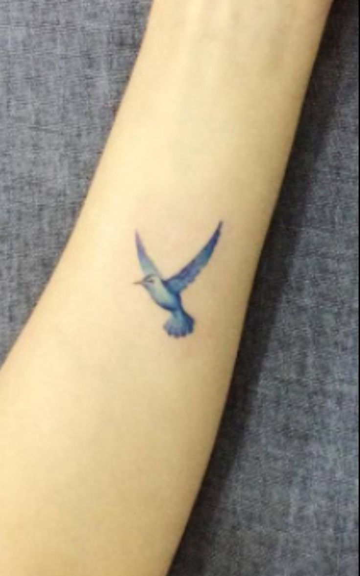 Pin by Lara Mattson Radle on tattoo | Bluebird tattoo, Birds tattoo, Small  tattoos