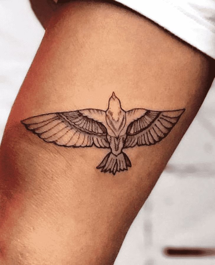 Hawk Tattoo Design Ideas Images