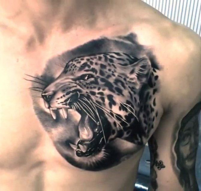 Jaguar Tattoos