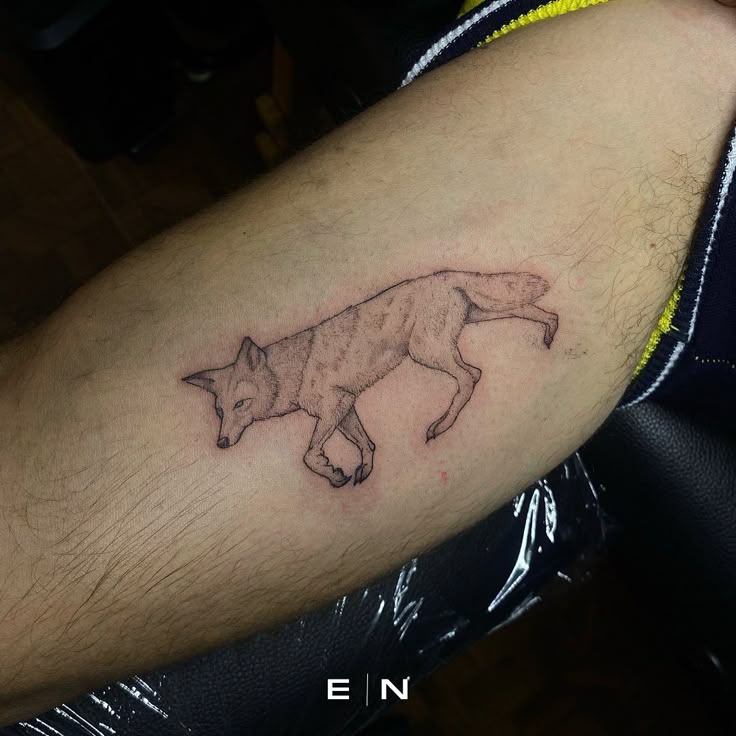 Coyote Tattoo, traditional coyote tattoo, realistic coyote tattoo, simple coyote  tattoo