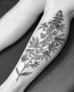 9 Tattoos ideas in 2025 | tattoos, frog tattoos, tree frog tattoos