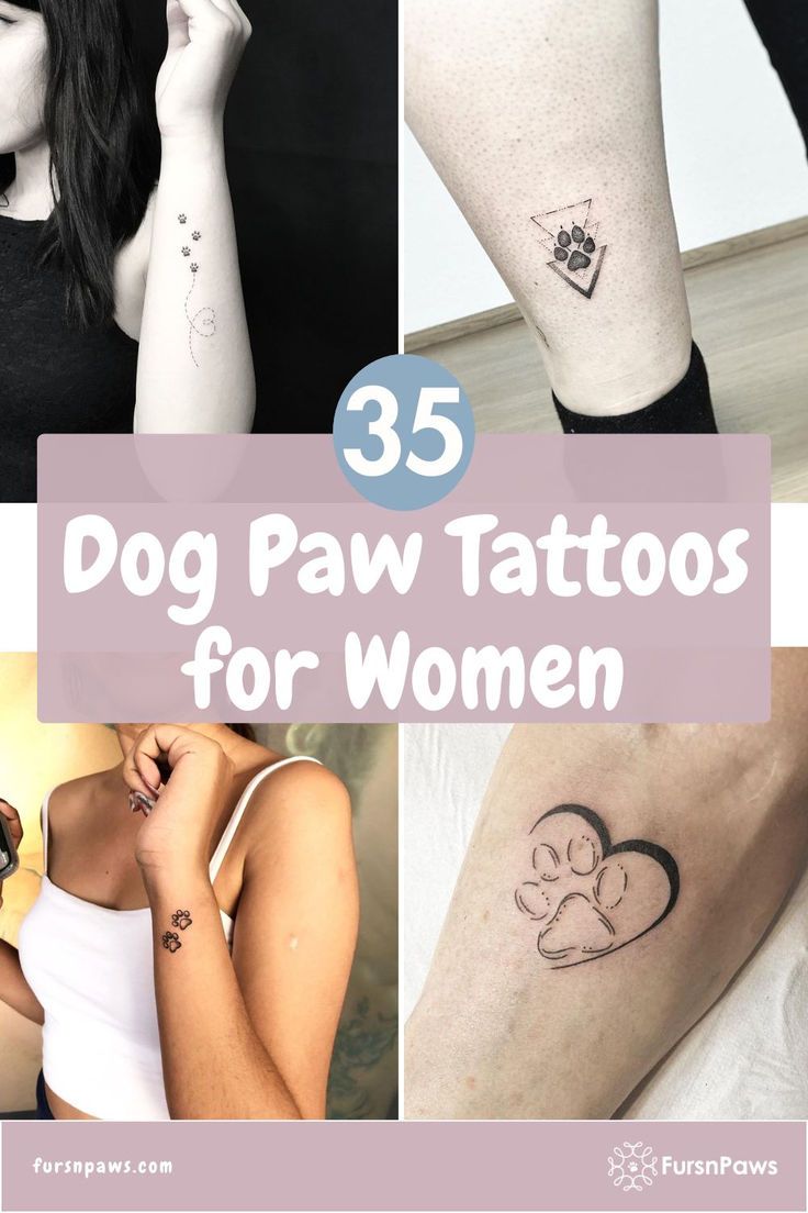 paw print