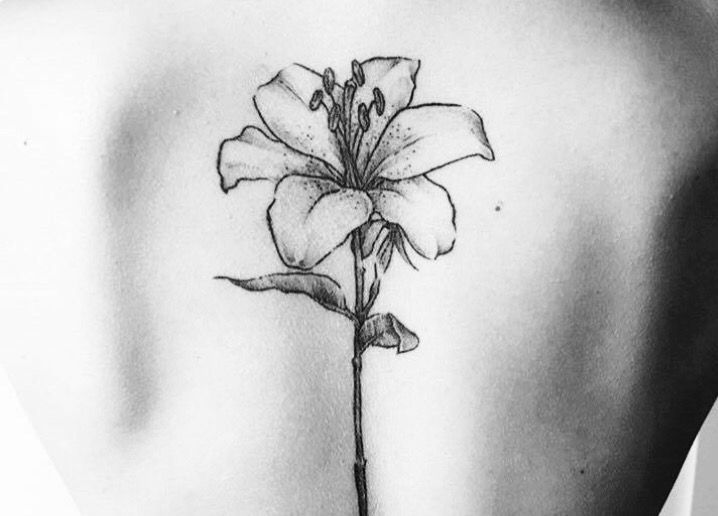 Lys