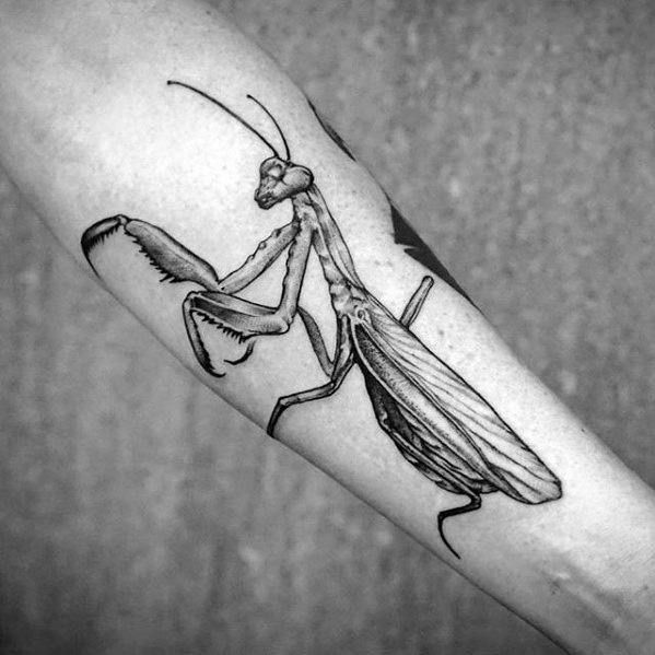 Pin by Daran on tattoos | Insect tattoo, Mantis tattoo, Picture tattoos