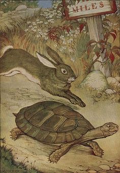 Discover 63 Tortoise and Hare Tattoo Ideas and Rabbit Tattoos Ideas |  turtle tattoo, hare drawing, masculine rabbit tattoo and more