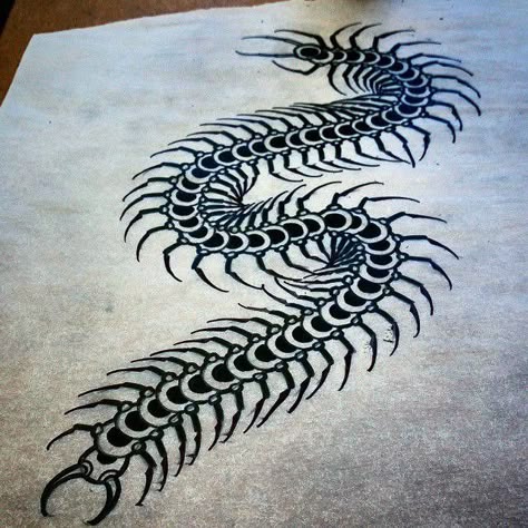 Centipede Tattoo Outline
