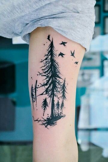 25+ Evergreen Tree Tattoo Ideas