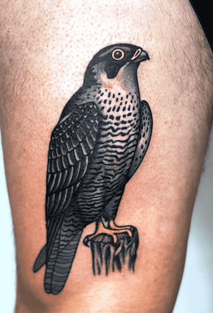 Hawk Tattoo Design Ideas Images