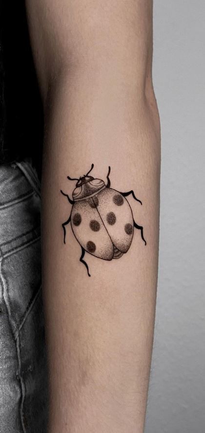 Ladybug Tattoos