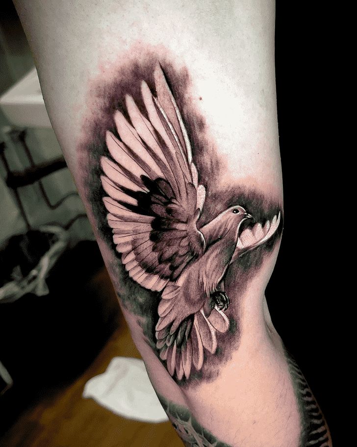 Dove Tattoo Design Ideas Images