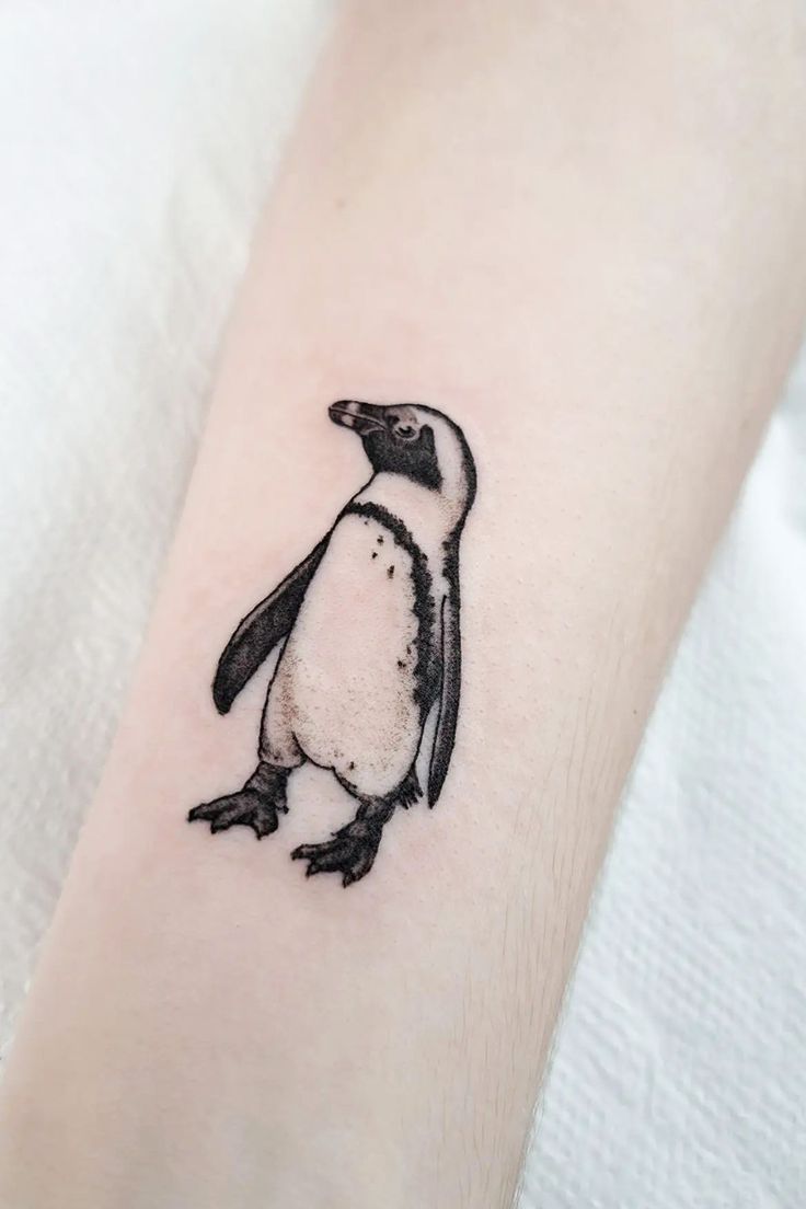 17 Unique Cute Penguin Tattoo Design