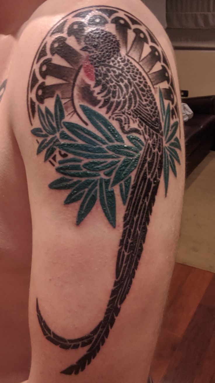 Rate my Quetzal Tattoo. I was wondering if it looked like it was good quality to others with more experience. Is it good the way it came out? Any criticisms? Thanks in