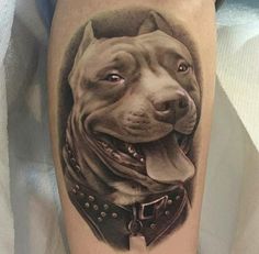 61 Pitbull tattoo ideas | pitbull tattoo, dog tattoos, dog tattoo