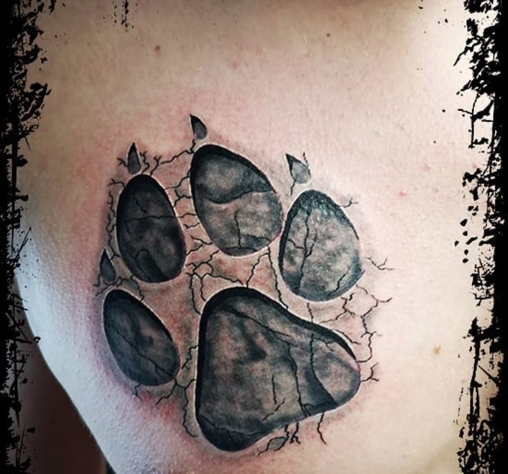 70+ Best Paw Print Tattoo Ideas for Dog Lovers - The Paws | Paw print tattoo ,