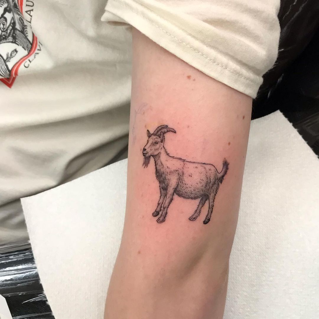 Rocky Mountain Goat Tattoo