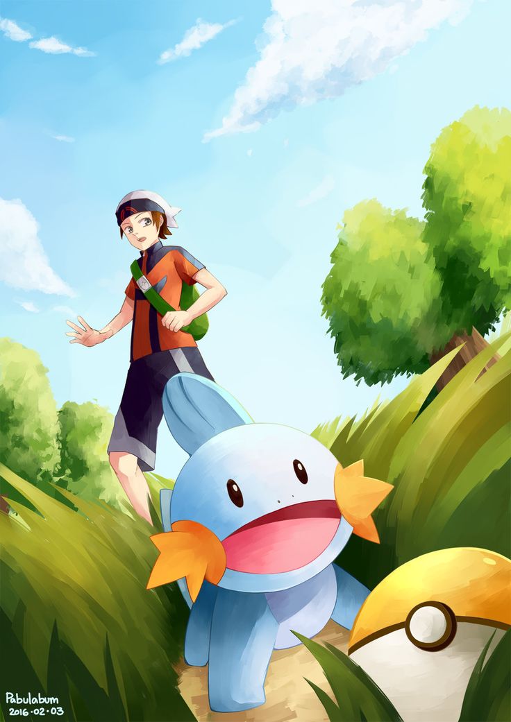 83 Mudkip ideas | mudkip, cute pokemon, pokemon