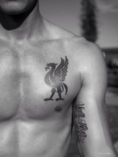 Discover 7 Liverpool Fc Tattoo and Liverpool Bird Tattoo Ideas | soccer  tattoos, lfc logo, liverpool logo and more