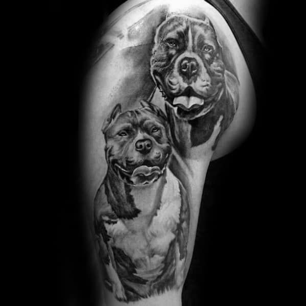 50 Pitbull Tattoo Designs for Men