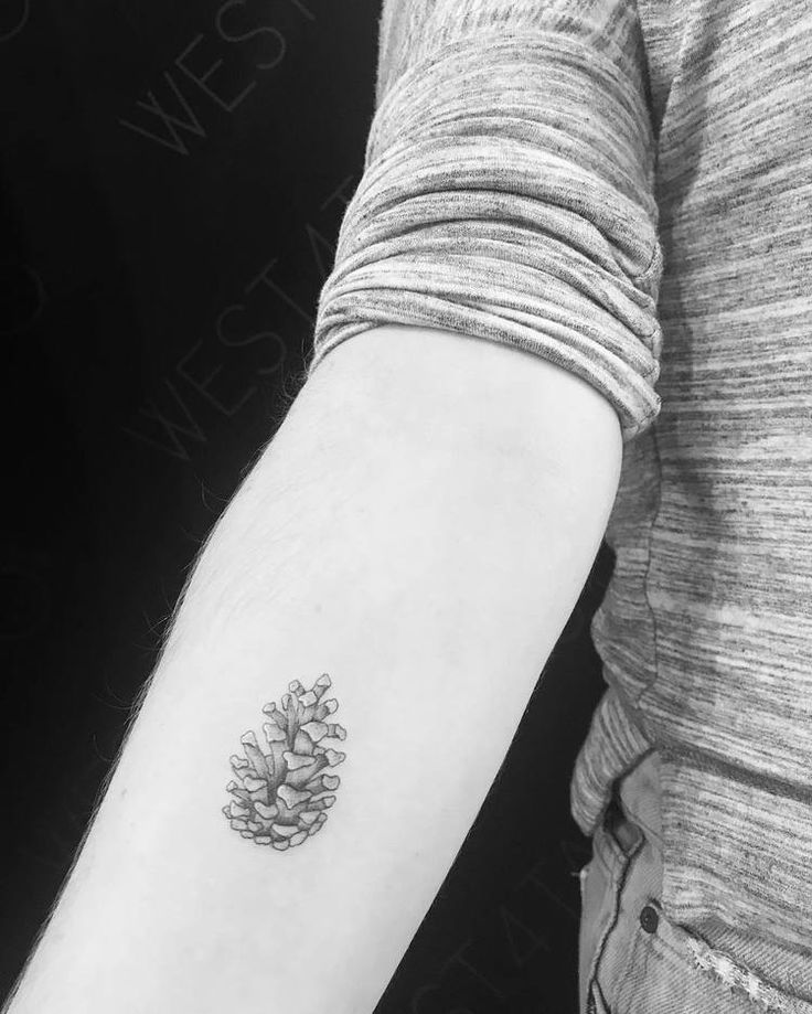 30 Pine Cone Tattoo Designs To Celebrate Beauty of Nature | TattooAdore