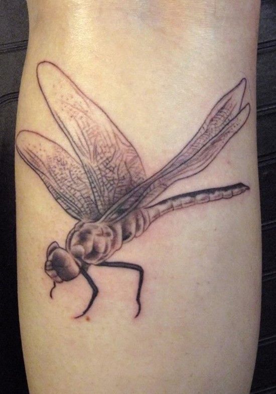 160 Beautiful Dragonfly Tattoo Designs & Meanings