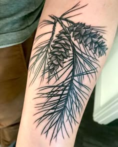 Discover 32 Pinecones ☆ and Pinecone Tattoo Ideas | pine tattoo, botanical  tattoo, tree branch tattoo and more