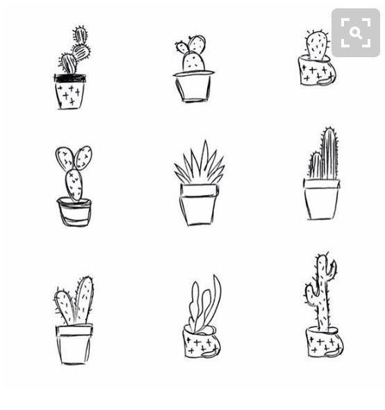 Simple cactus tattoo ideas #cactus #tattoo #girls #women #blackandwhite  #pretty #cute